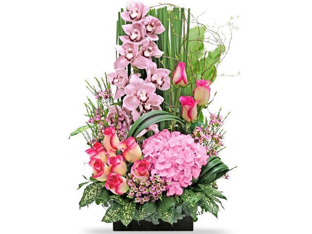 Florist Flower Arrangement - Pink Cymbidium Florist Deco B6 - L76605327 Photo